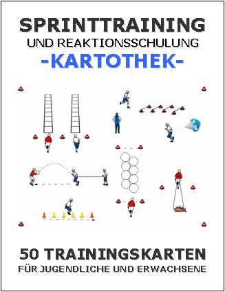 Volleyball Kartothek - Sprinttraining Und Reaktionsschulung