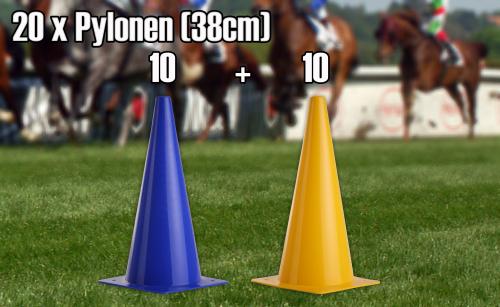 PYLONEN 38 cm - 20 Stück (10 gelbe + 10 blaue) Pferdesport